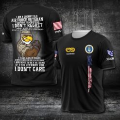 Air Force Badge, We Own The Sky - T-Shirt