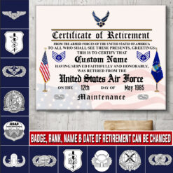 Air Force Badge, E 9 Air Force Command Chief Master Sergeant - Canvas (With Frame) 20x16in