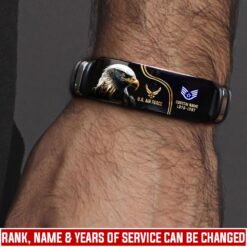 US Air Force , E 8 Air Force Senior Master Sergeant - Bracelet